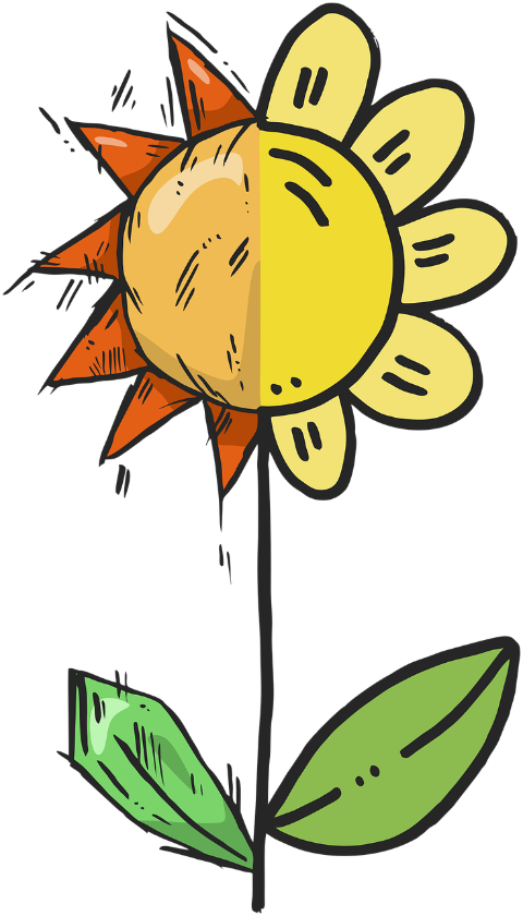 flower-sunflower-sunflower-drawing-6746251