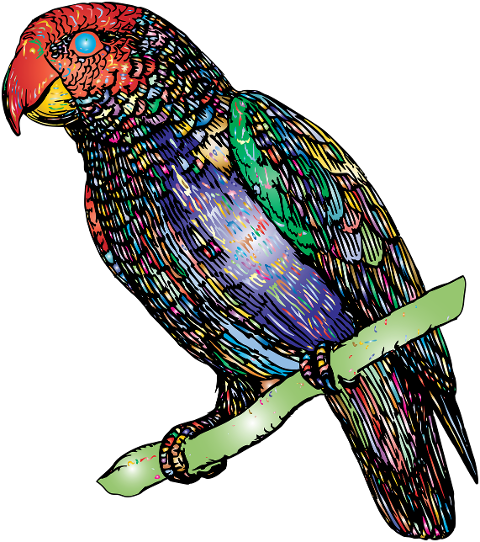 parrot-bird-animal-perched-6474335