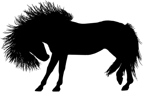 horse-animal-silhouette-equine-5630250