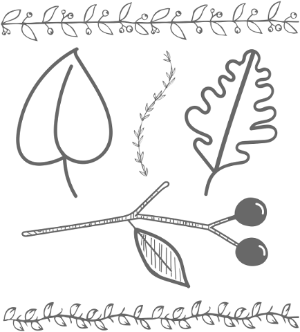 leaves-berries-needle-line-art-5726447