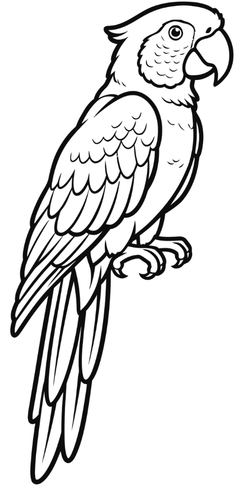 parrot-outline-bird-perched-branch-9929429