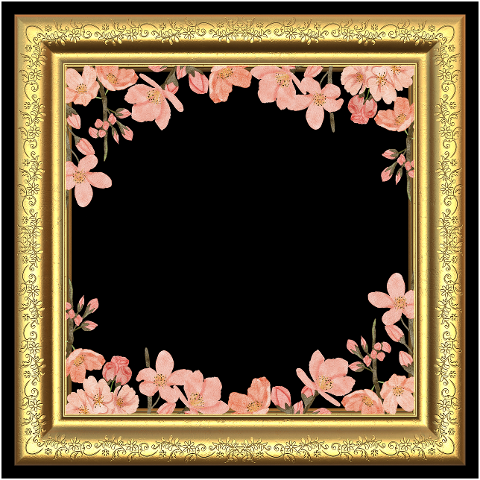 frame-border-decorative-frame-6552492