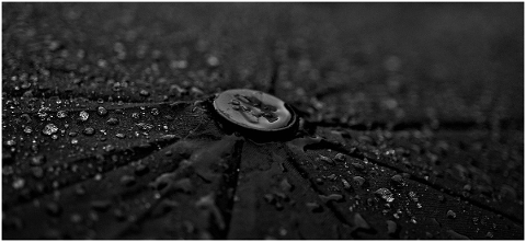 umbrella-rainy-weather-background-4692552