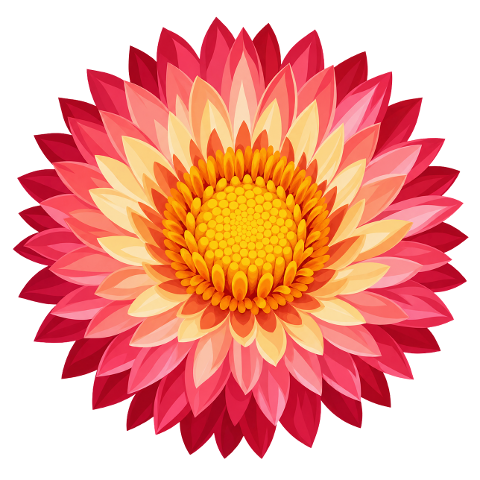 dahlia-pink-flower-yellow-center-10487288