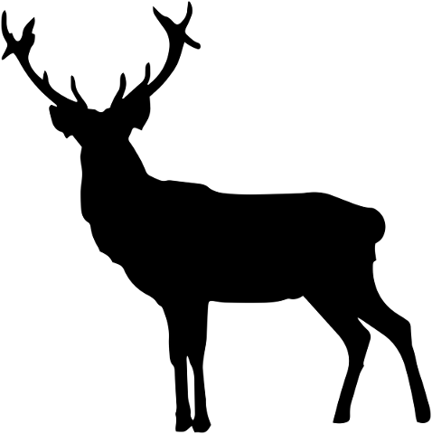 deer-silhouette-deer-stag-animal-4630162