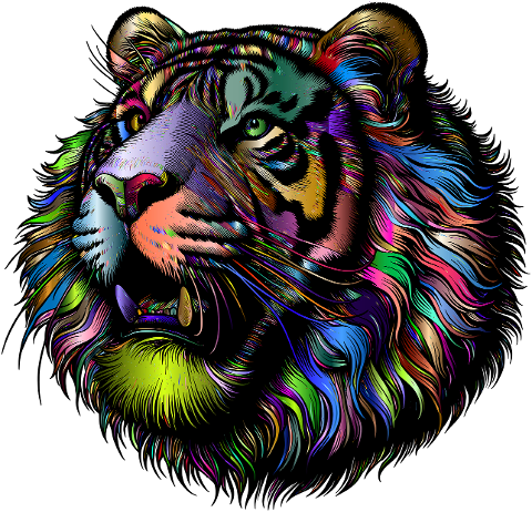 tiger-head-animal-portrait-8619379