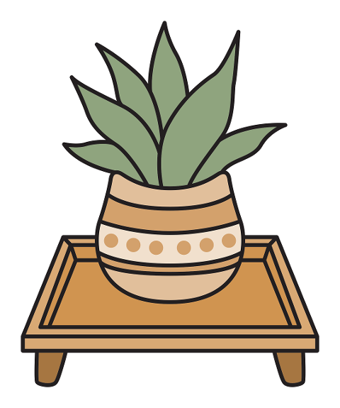 succulent-pot-plant-vase-home-9440700