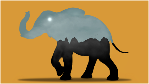 sketch-elephant-wallpaper-4917782