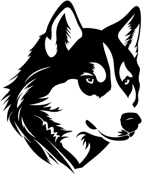 ai-generated-dog-husky-alaskan-pet-8292339
