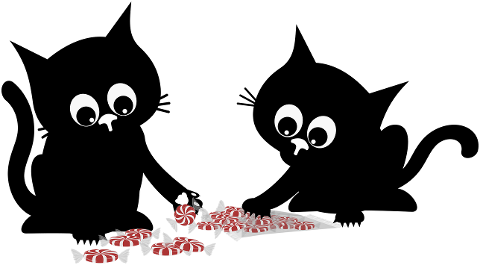 cat-kitten-black-cats-pet-animal-9256485