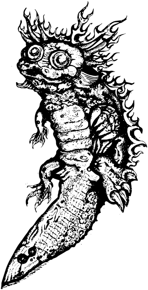 axolotl-drawing-art-folklore-6967129