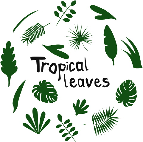 tropical-leaves-assorted-nature-7053959