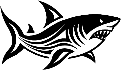 shark-animal-predator-aquatic-8726330