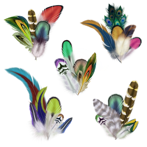 feathers-colorful-decorative-6080562