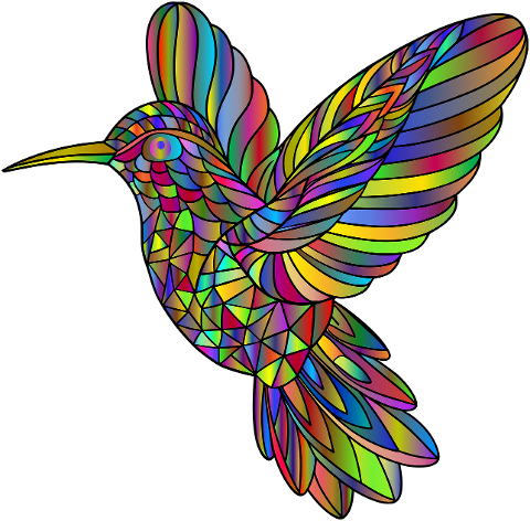hummingbird-bird-animal-flying-8950162