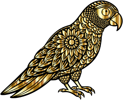 parrot-bird-animal-ornithology-8846868
