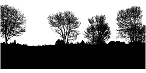 forest-trees-silhouette-lake-5134861