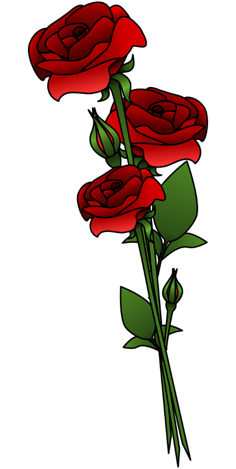 roses-flowers-bouquet-red-roses-9515899