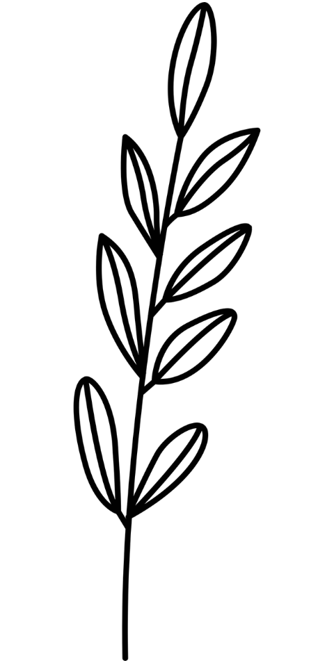 leaves-branch-plant-outline-9424772