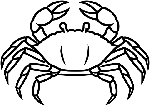 crab-outline-line-art-icon-marine-10037632