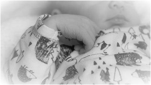 baby-baby-s-hand-black-and-white-4756305