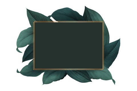 frame-tree-flower-frame-frame-4450169