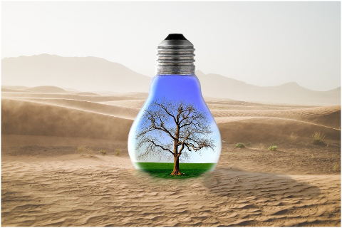 desert-tree-grass-sky-lightbulb-6070006