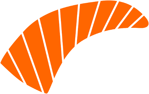 sushi-salmon-rice-9779982