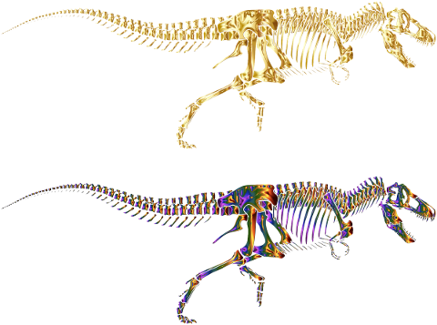 tyrannosaurus-rex-dinosaur-4938918