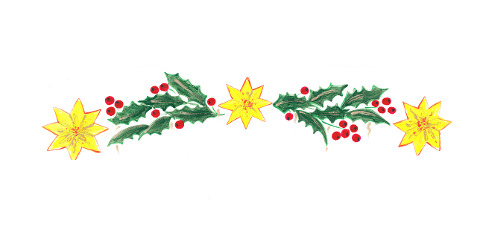 star-holly-christmas-ornament-6828133