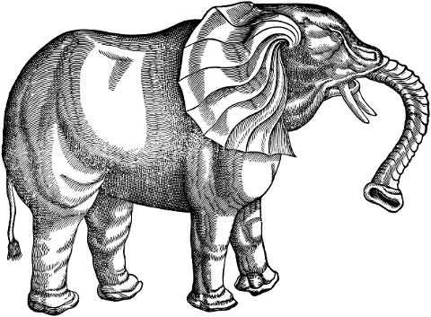vintage-elephant-line-art-animal-4201484