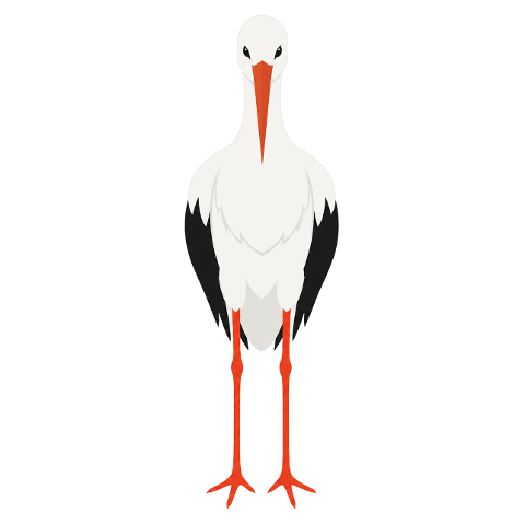 stork-bird-wildlife-animal-10365665