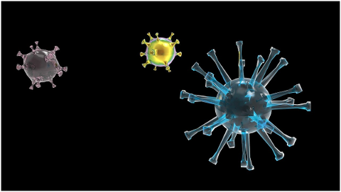 virus-corona-coronavirus-epidemic-4944925