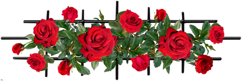 flowers-red-roses-trellis-cut-out-5195455