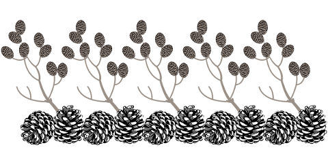 christmas-cones-pine-cones-5812448