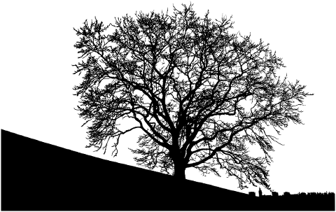 trees-nature-silhouette-landscape-7058842