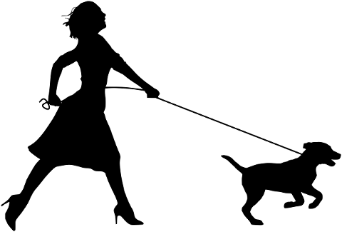 walk-dog-silhouette-running-pet-4143841