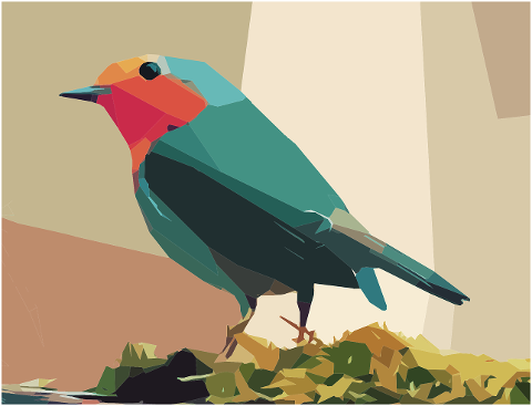 bird-ornithology-art-beak-colorful-7148405