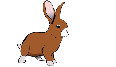 rabbit-bunny-hare-ears-mammal-5668037