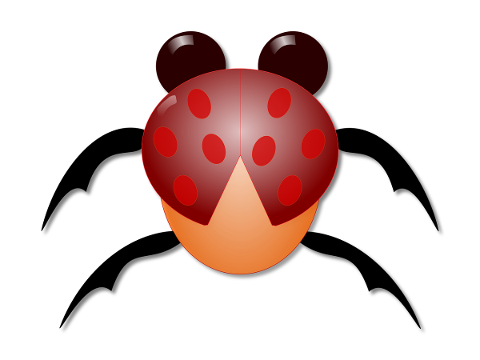 lady-bug-insect-bug-beetle-nature-5156216