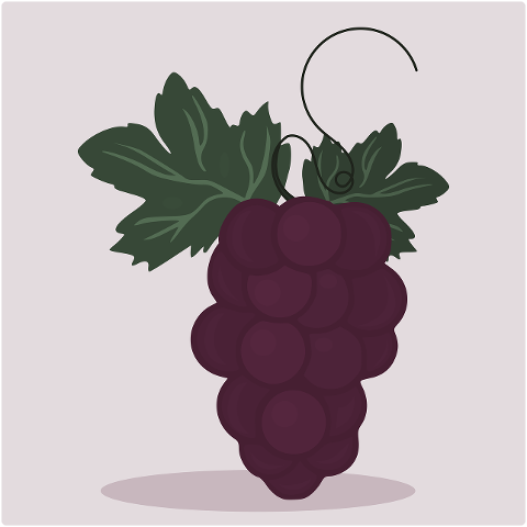 fruit-grapes-food-cartoon-clip-art-7127130