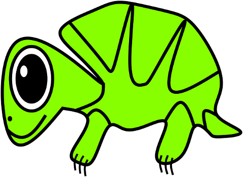 turtle-reptile-doodle-green-pet-7210461