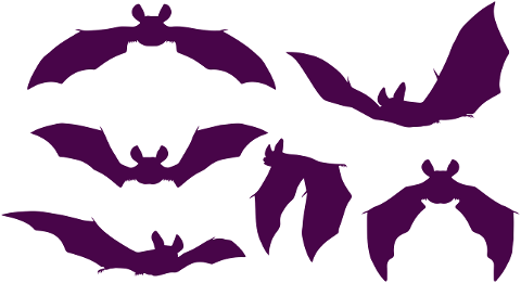 bats-halloween-silhouette-vampire-6625866