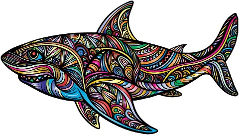 shark-animal-predator-aquatic-8853357