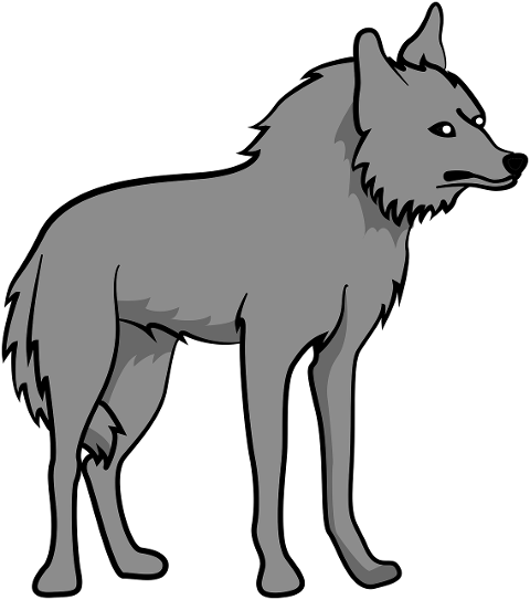 wolf-canine-fur-grim-animal-7846304