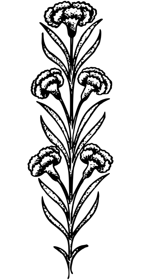 flowers-plant-art-nouveau-flourish-7443797