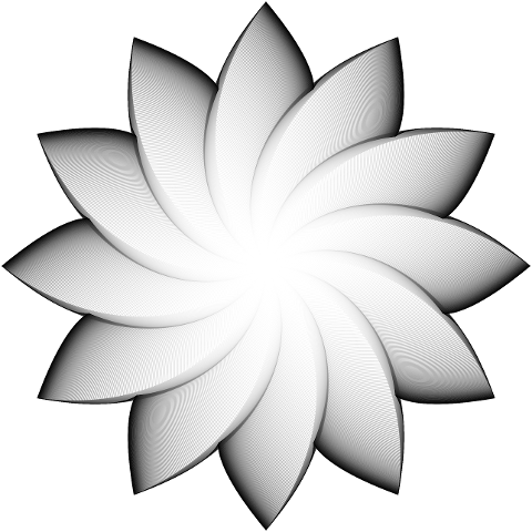 mandala-rosette-geometric-vortex-7369330