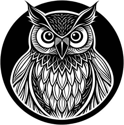 owl-bird-predator-plumage-avian-8991576