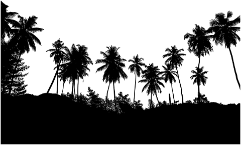 tropical-palm-trees-beach-7128715