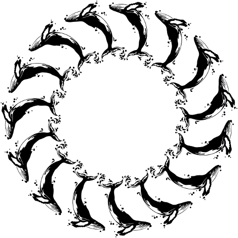whale-pattern-frame-border-animal-6991774